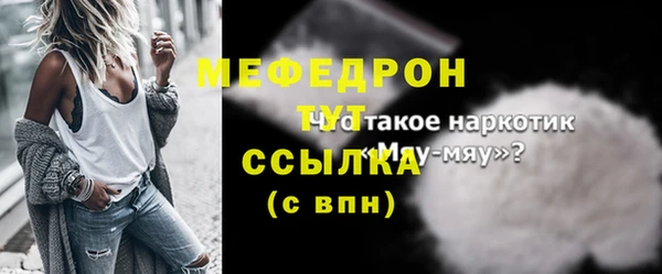 индика Абаза