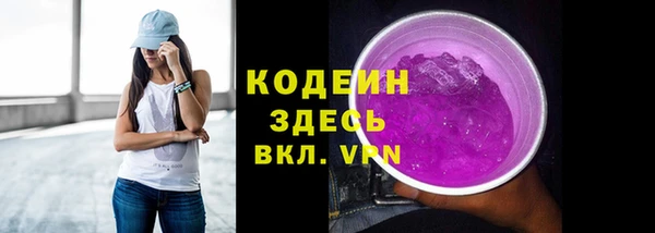 индика Абаза