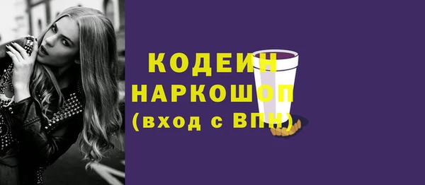 индика Абаза