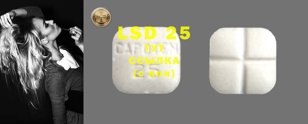ешки Абинск