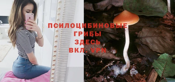 индика Абаза