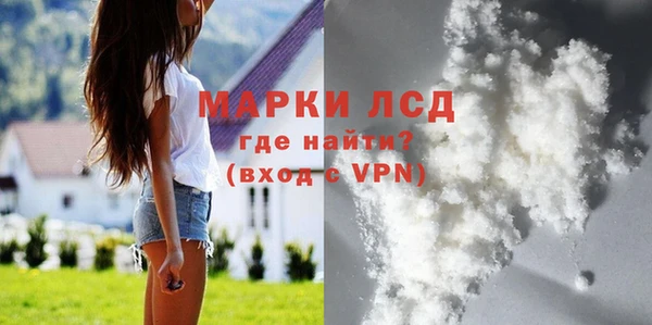 индика Абаза