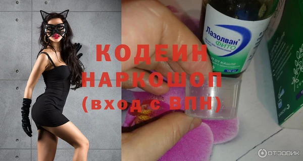 индика Абаза