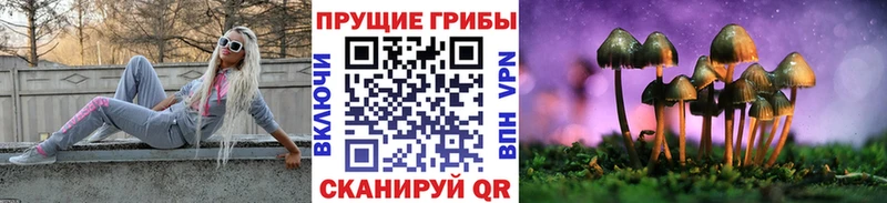 Псилоцибиновые грибы прущие грибы Абинск