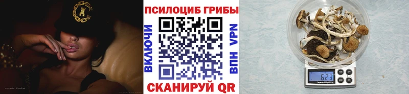 Псилоцибиновые грибы мицелий  Абинск 